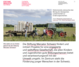 Screenshot der Stiftung Mercator Homepage