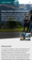 Screenshot der #DiniWält Kampagne mobile